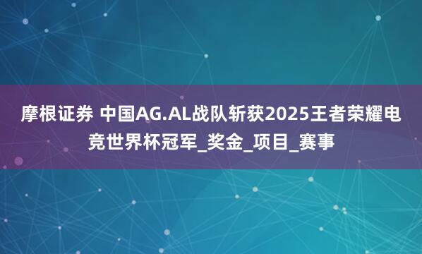 摩根证券 中国AG.AL战队斩获2025王者荣耀电竞世界杯冠军_奖金_项目_赛事