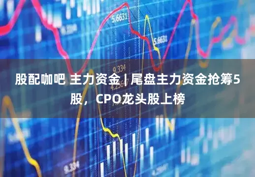 股配咖吧 主力资金 | 尾盘主力资金抢筹5股，CPO龙头股上榜