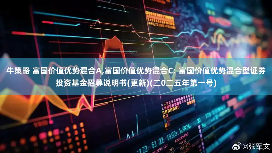 牛策略 富国价值优势混合A,富国价值优势混合C: 富国价值优势混合型证券投资基金招募说明书(更新)(二0二五年第一号)